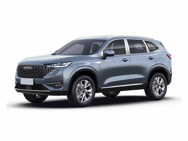 Haval H6 2022-2024