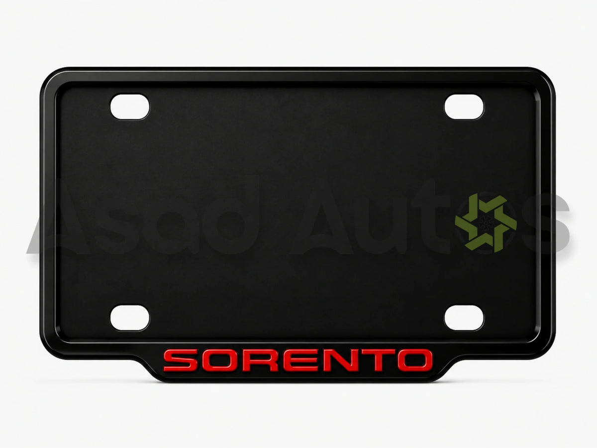 Raptic custom car number plate frame and cover on Kia Sorento
